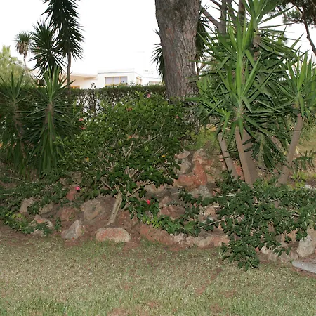 Rio By Garvetur Vilamoura